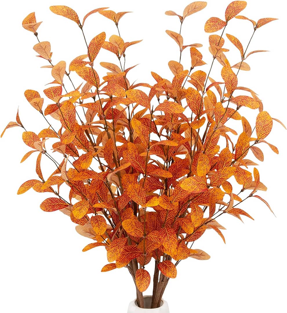 orange eucalyptus